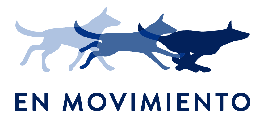 En movimiento - Rehabilitación Online Veterinaria