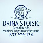 Drina Stojsic - Fisiovet