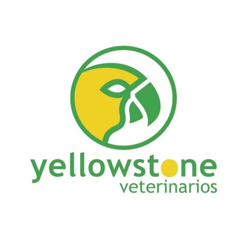 Yellowstone Veterinarios