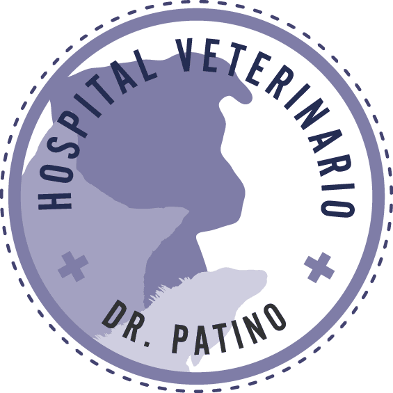 Hospital Veterinario Patino