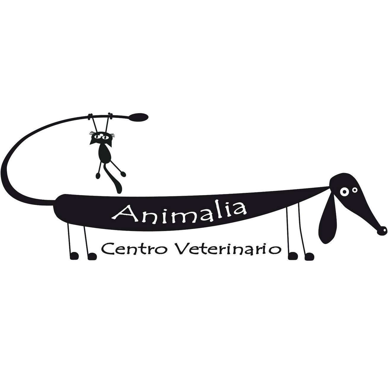 Centro Veterinario Animalia