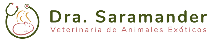 Dra. Saramander