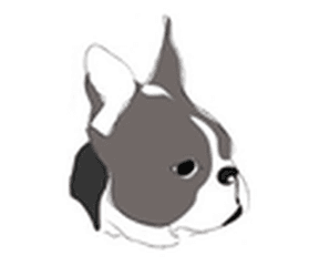 Clínica Veterinaria Habana Boston