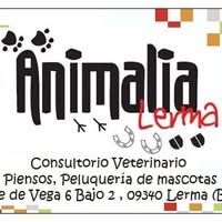 Animalia Lerma