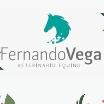 Fernando Vega Veterinario Equino