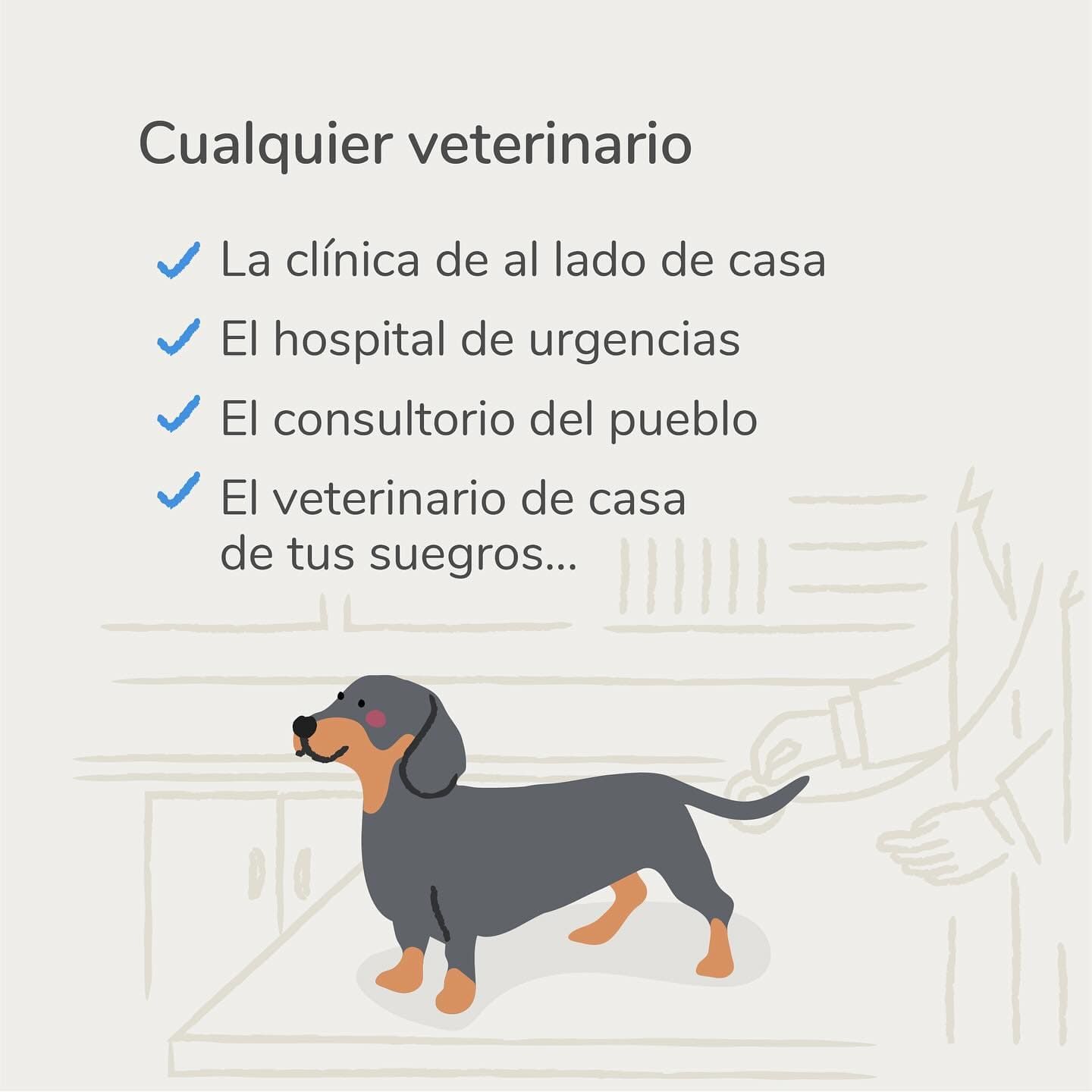 Barkibu: Seguro veterinario. Quiere a tu mascota, quiérela bien