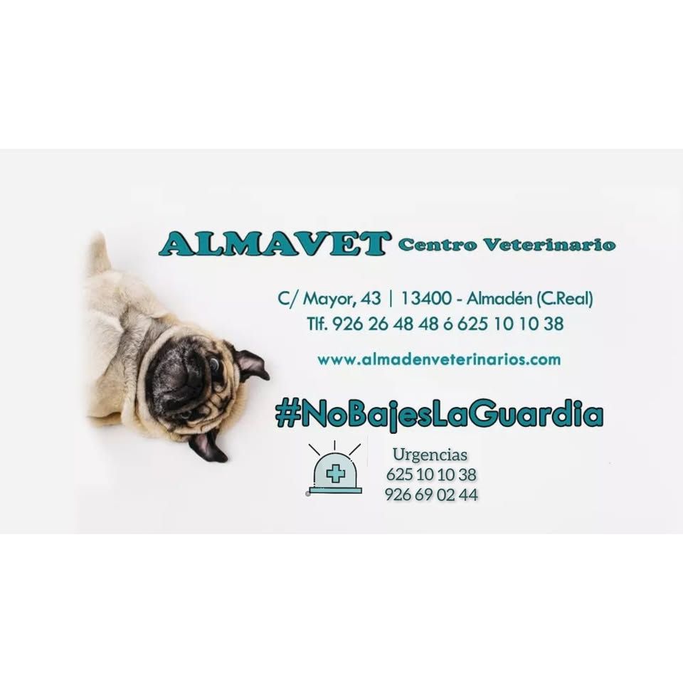 Centro Veterinario Almavet
