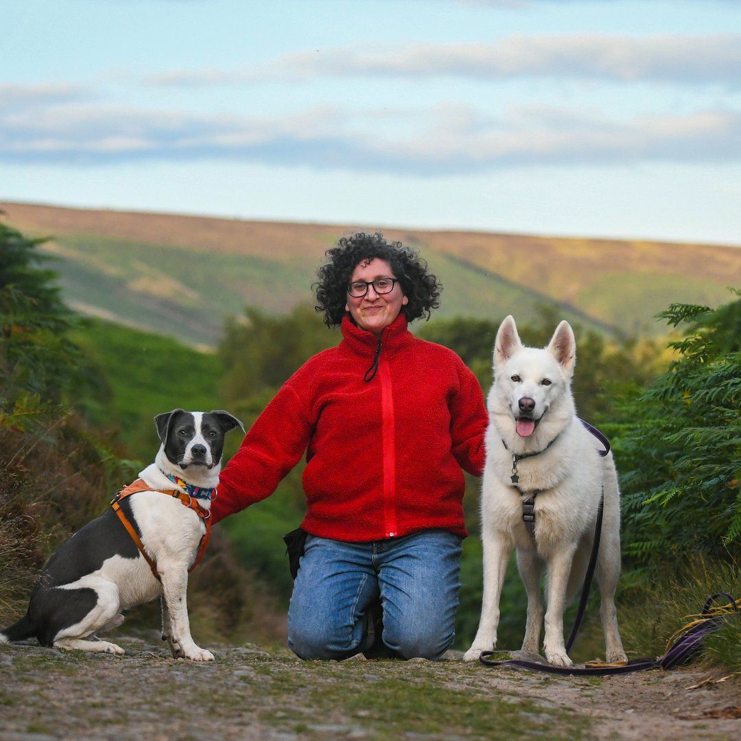 Wonderdog Consultoria Canina, Ana Porroche PhD