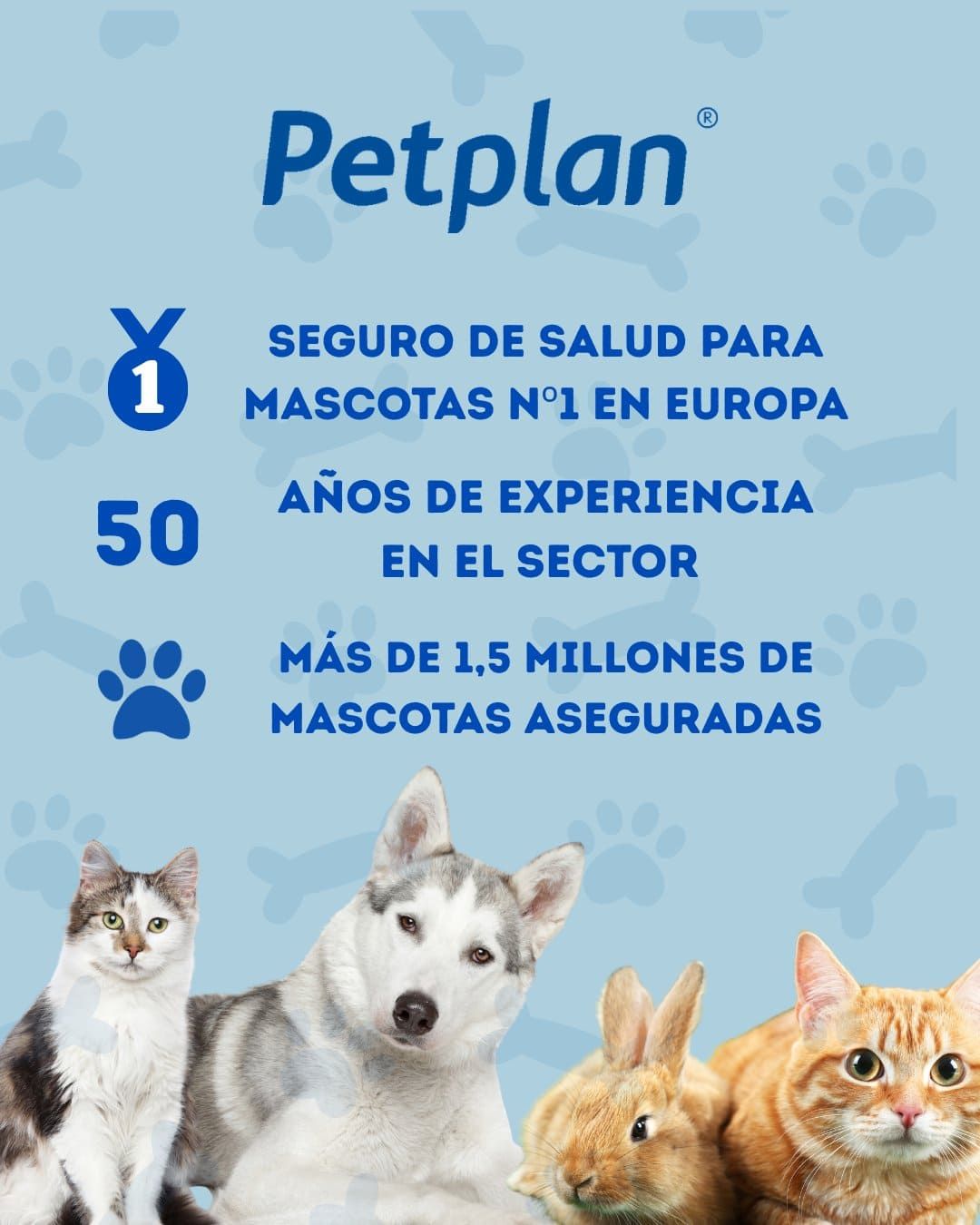 Seguro veterinario Petplan: para evitar gastos imprevistos