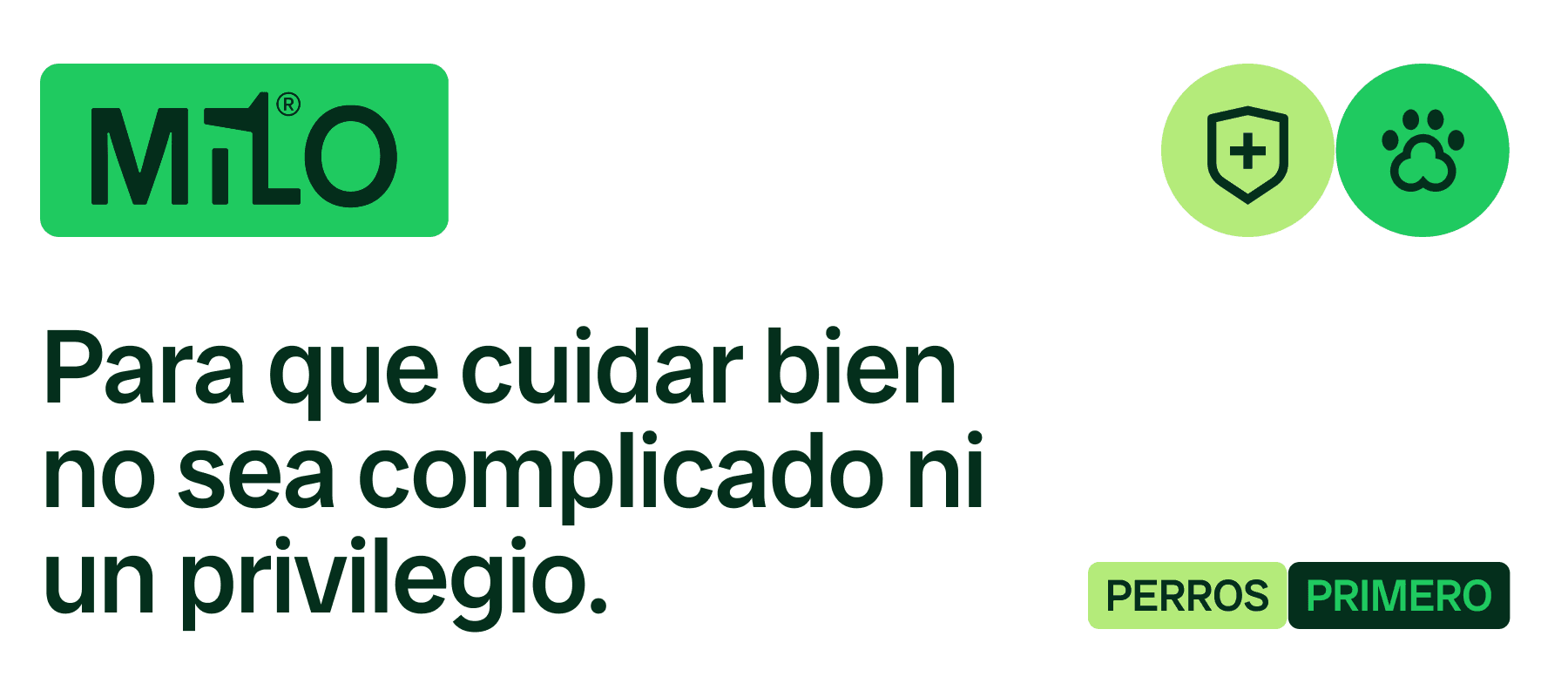 Milo: El primer seguro especializado en perros banner
