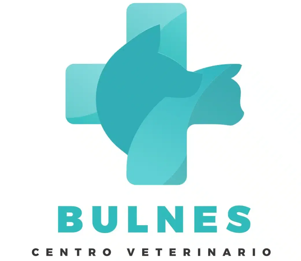 Centro Veterinario Bulnes