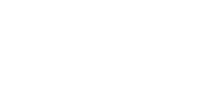 KironVet