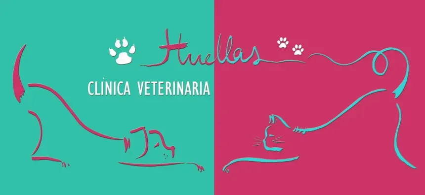 Huellas Veterinaria Salamanca