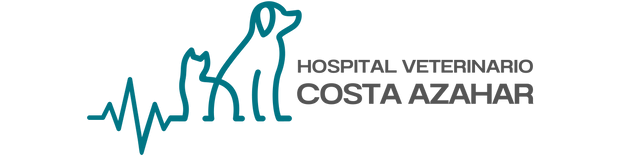 Hospital Veterinario Costa Azahar