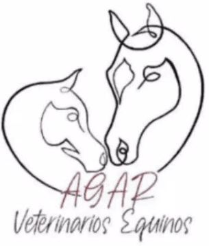 AGAR Veterinarios Equinos