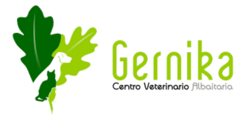 Centro Veterinario Gernika