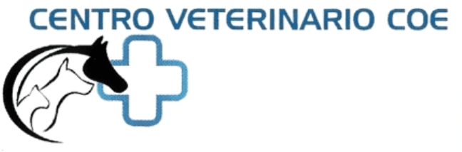 Centro Veterinario COE