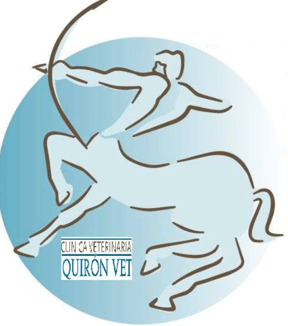 Quirón Vet Clínica Veterinaria