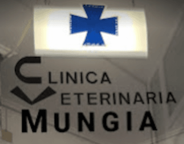 Clínica Veterinaria Mungia