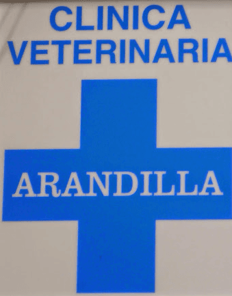 Clínica Veterinaria Arandilla