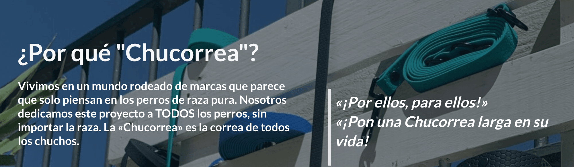 La Chucorrea: Correas para perro a medida banner
