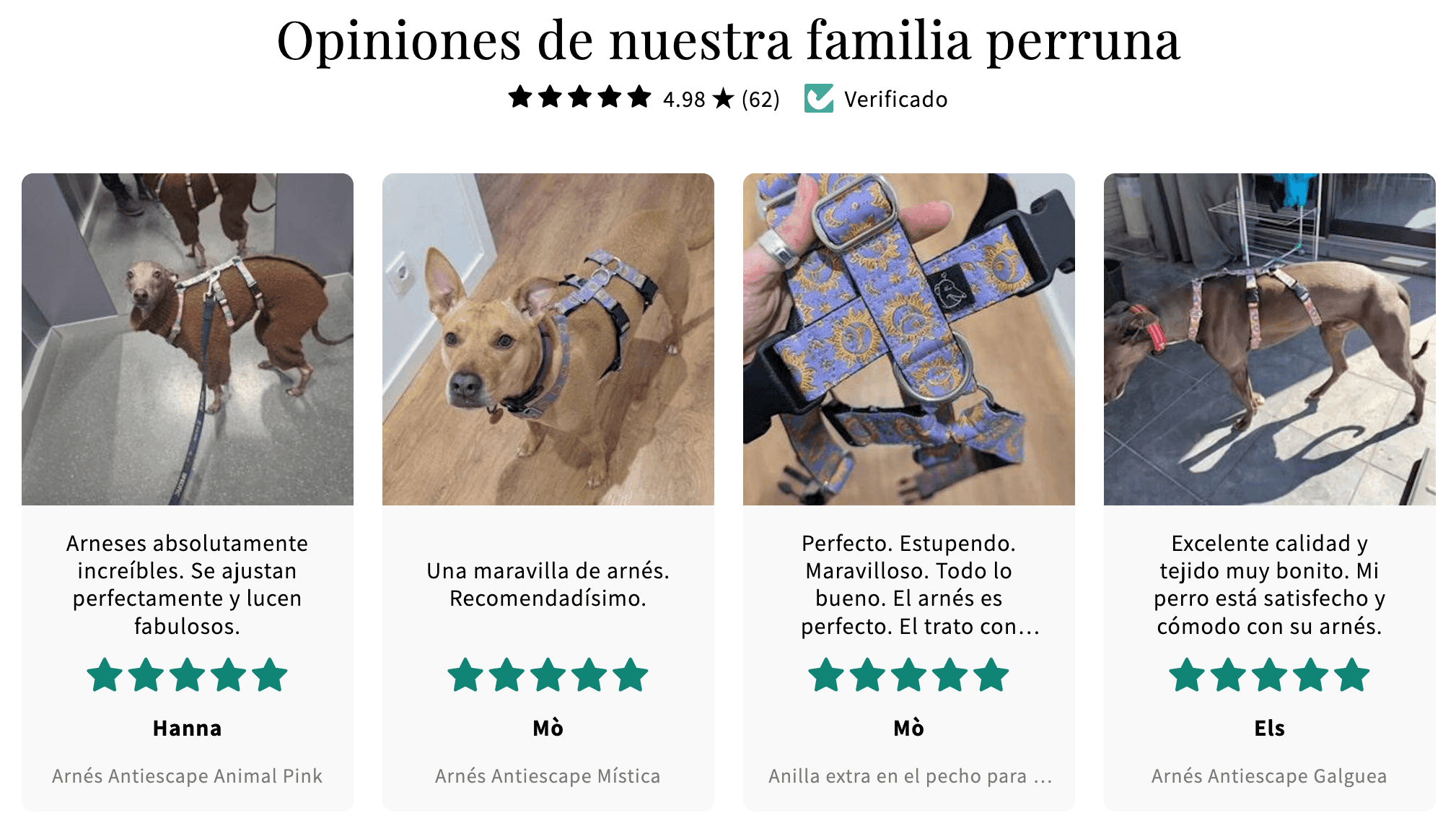 De Galgas Maneras: Especialistas en arnés antiescape para galgos banner