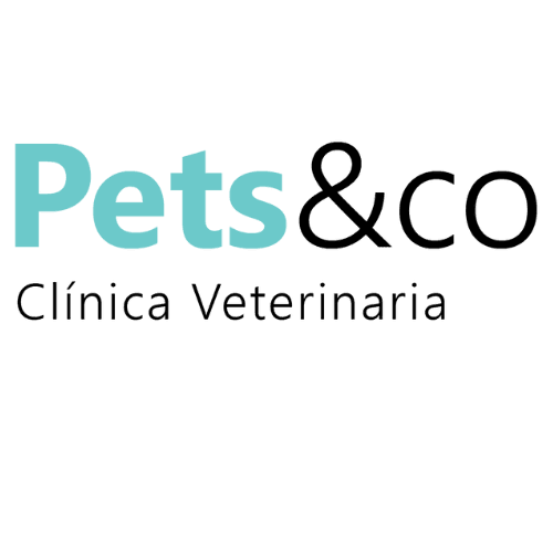 Clinica Veterinaria Pets&co