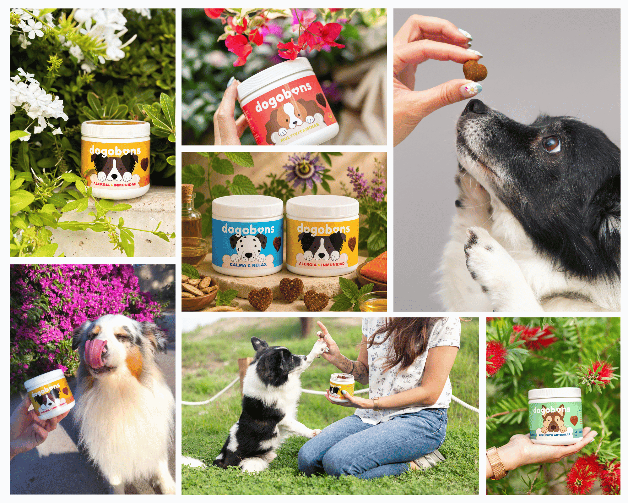 Dogobons: Salud y bienestar natural para perros