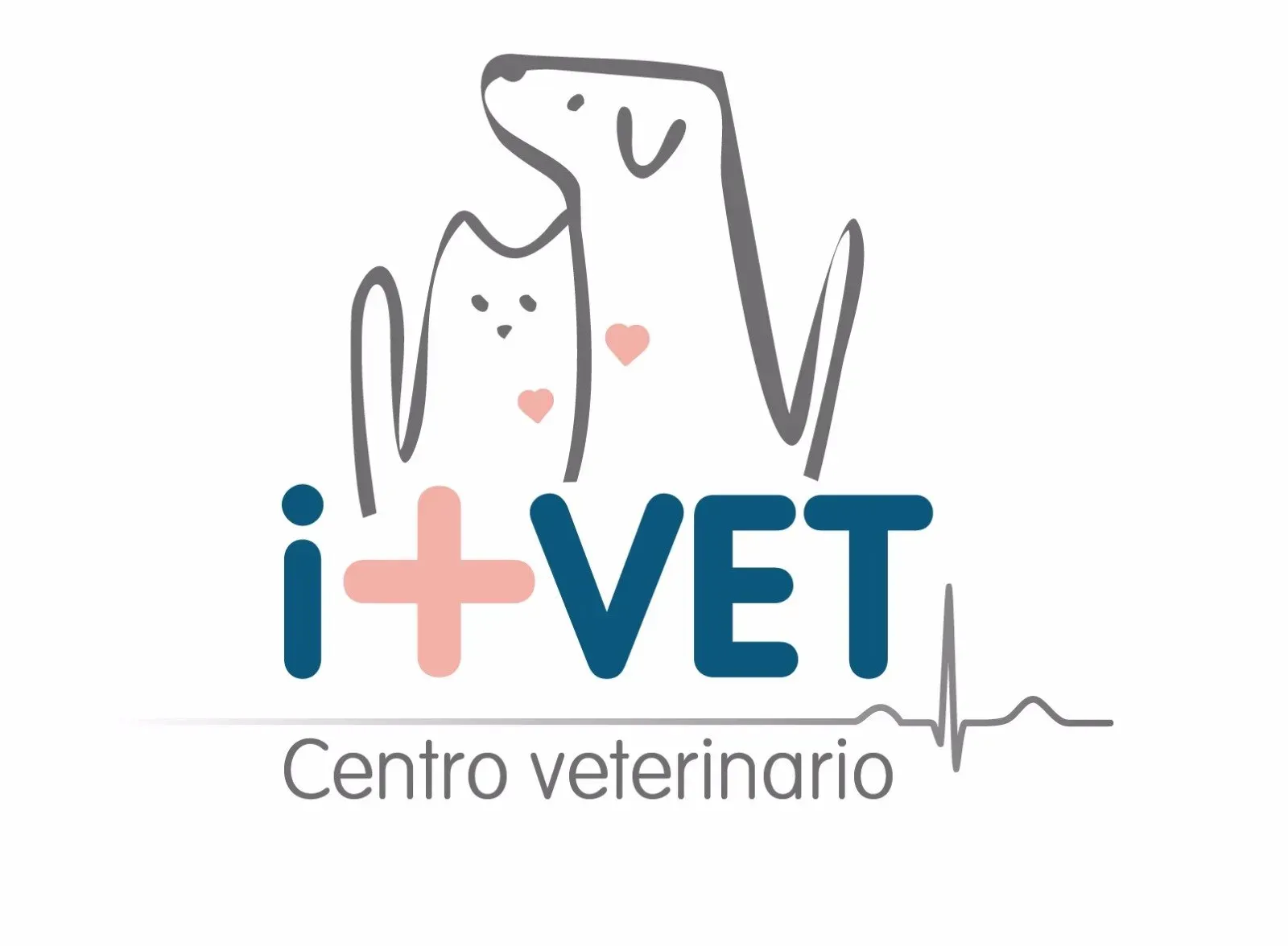 Centro Veterinario I+VET