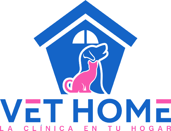 Kevin Torres - Veterinario a domicilio