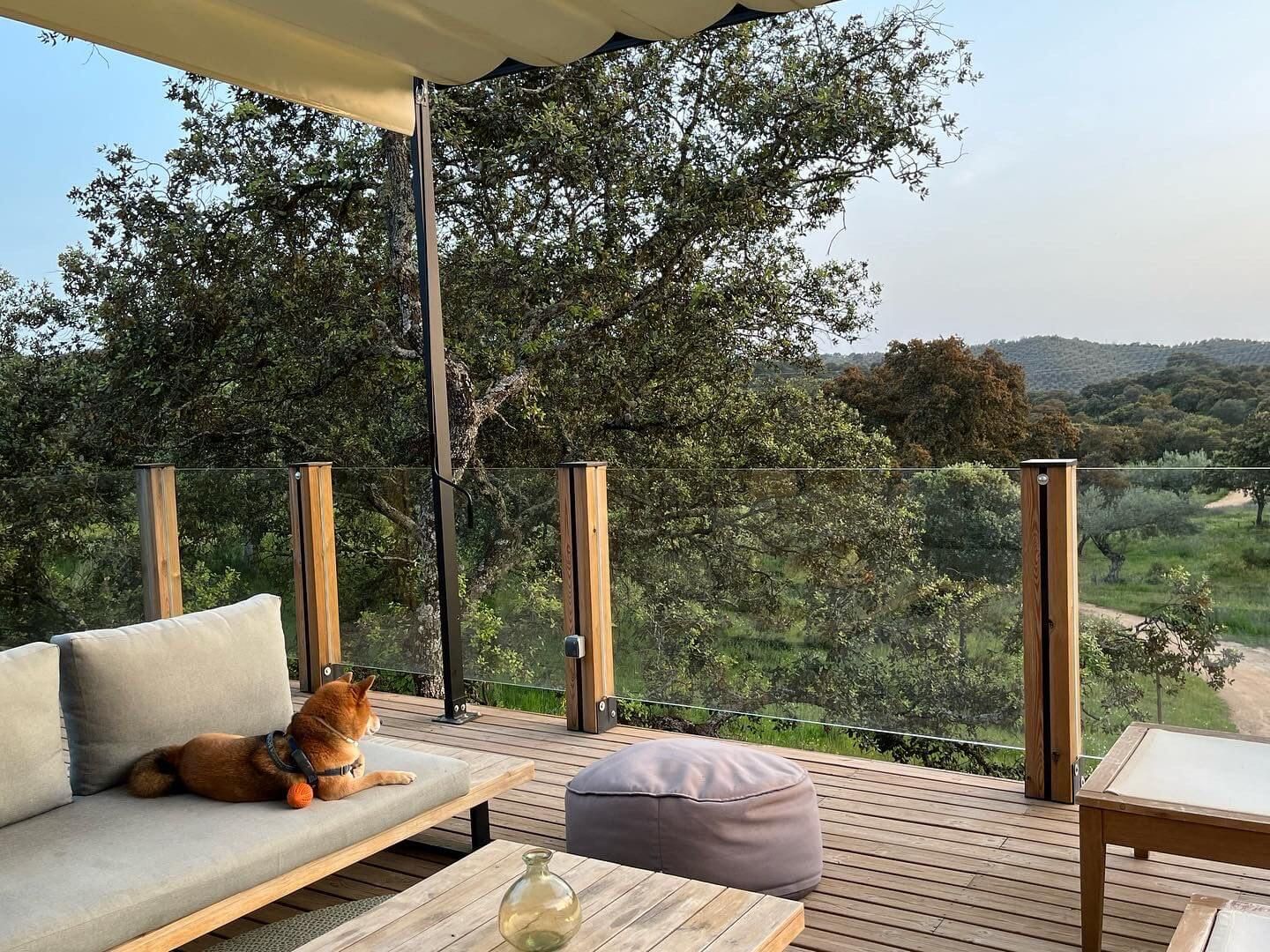 La Dehesa Experiences: glamping con perro en Córdoba