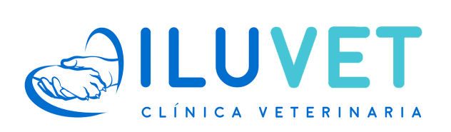 Clínica Veterinaria ILUVET
