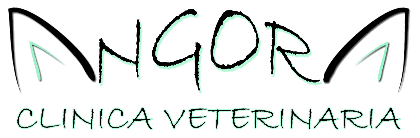 Clínica Veterinaria Angora