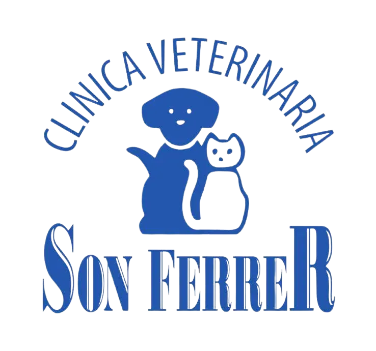 Clínica Veterinaria Son Ferrer