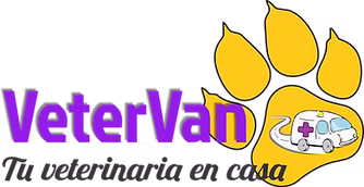 Vetervan