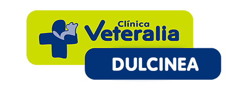 Clínica Veterinaria Dulcinea