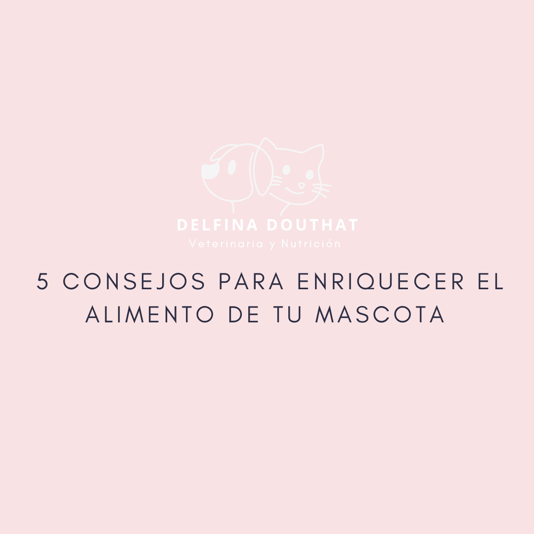 5 consejos para enriquecer la alimentación de tu mascota