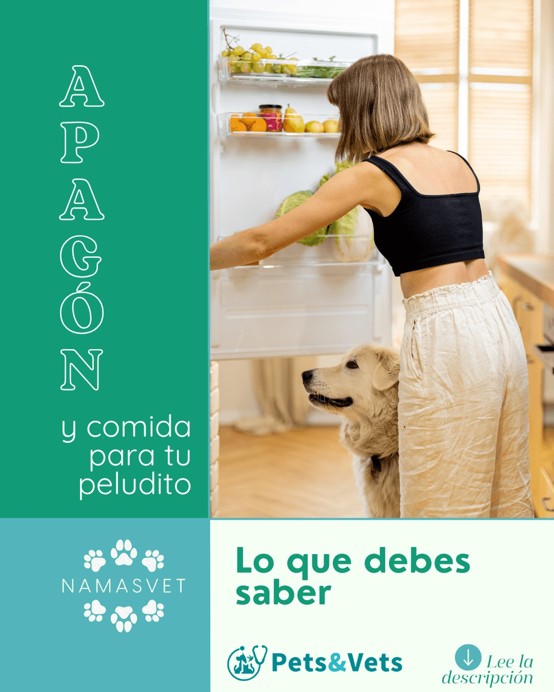 ¿Qué hacer con la comida de tu perro o gato tras un apagón?