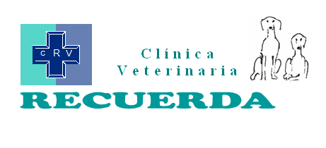 Clínica Veterinaria Recuerda