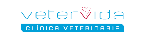 Vetervida