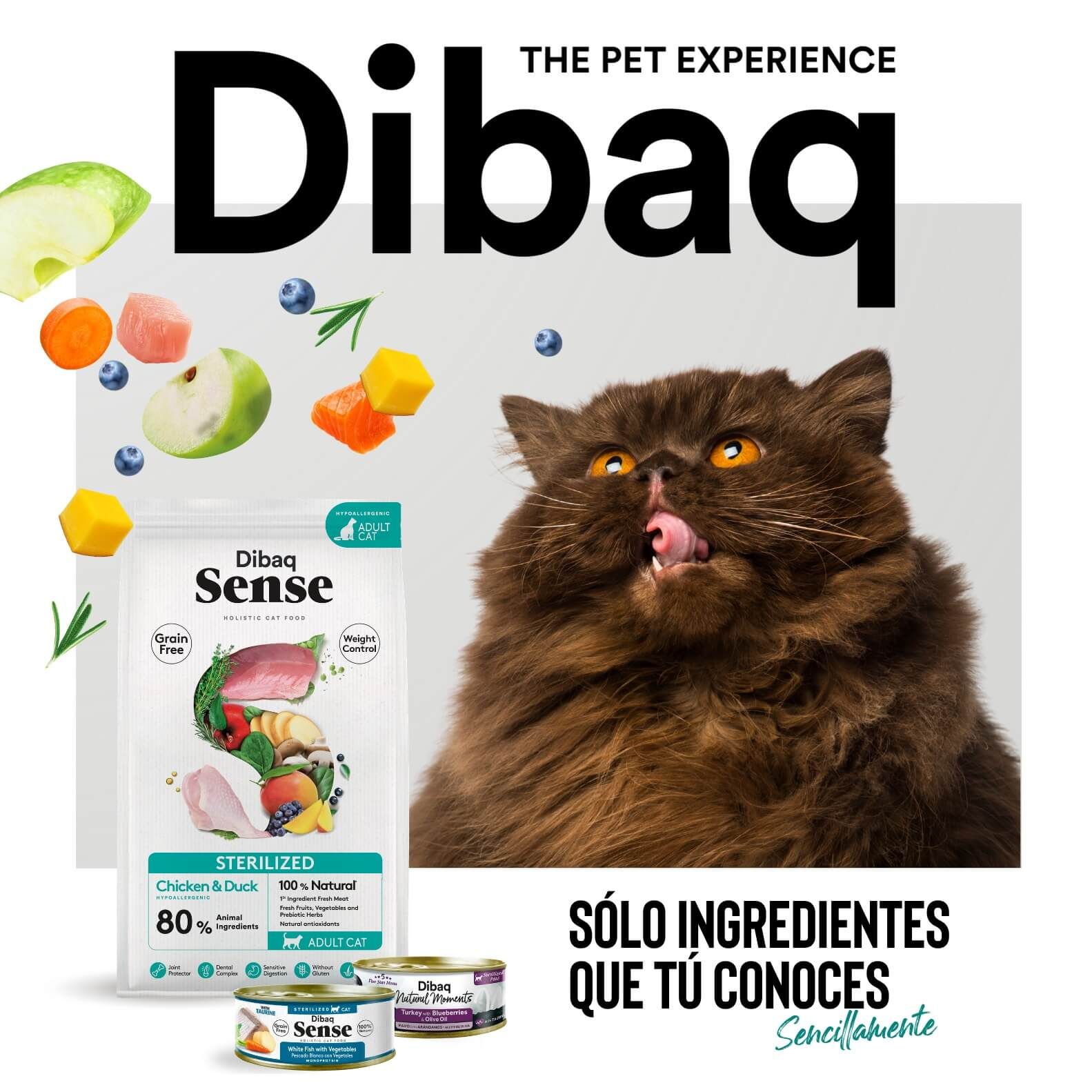 Dibaq: piensos y comida húmeda de calidad para perros y gatos