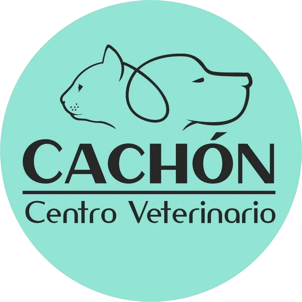 Centro Veterinario Cachón