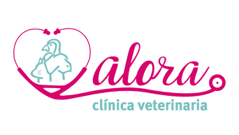 Clínica Veterinaria Alora