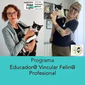 Educador@ Vincular Felin@ Profesional