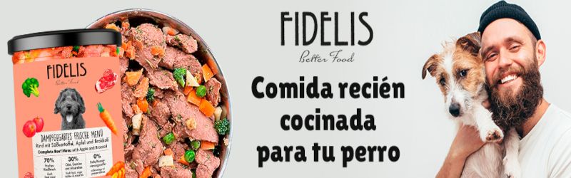 FIDELIS banner