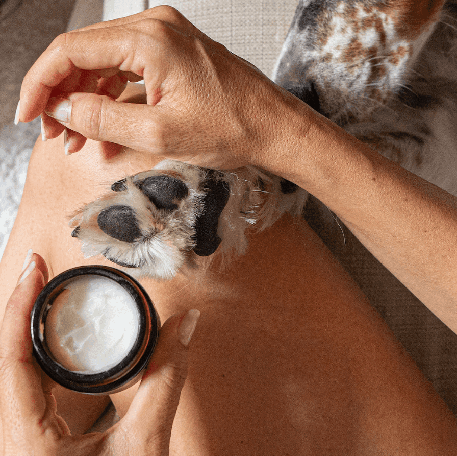 Doganics: Cosmética natural y orgánica para tu perro