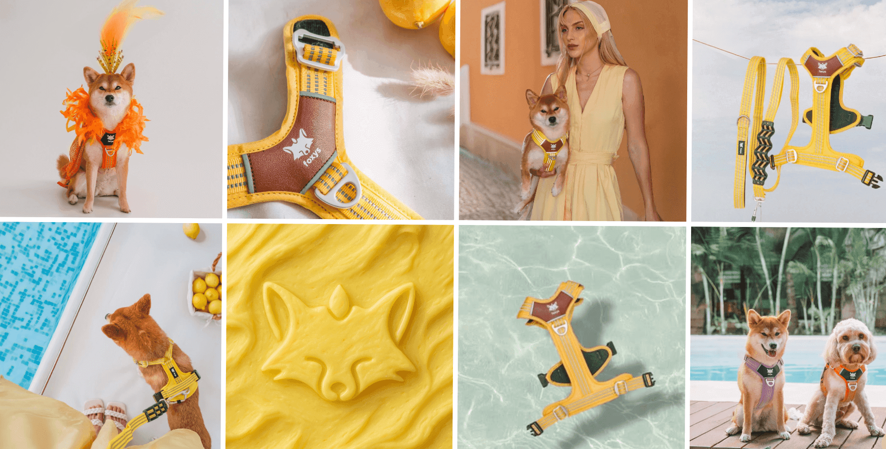 Foxys: Accesorios elegantes y funcionales para perros banner
