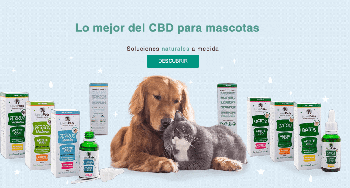 LovaPets: CBD natural para el bienestar de tu mascota banner