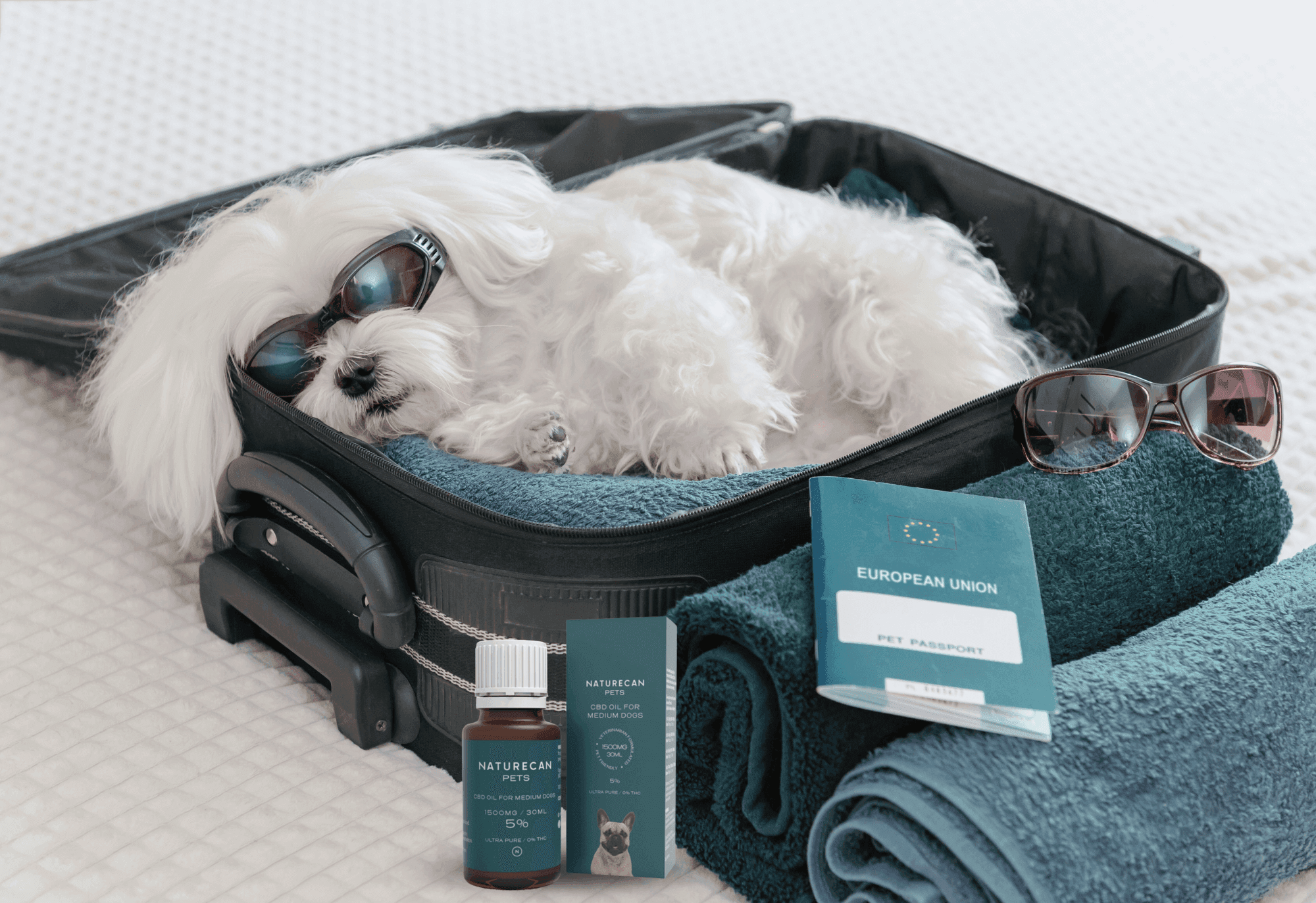 Naturecan: bienestar natural para mascotas basado en CBD banner