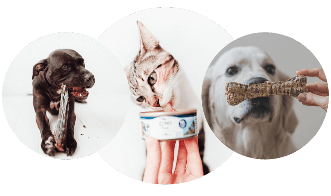 Tres Trufas: La tienda donde podrás encontrar todo lo que buscas para tu peludo